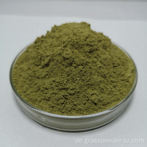 Supplement für organische Kale -Pulver -Gesundheitsversorgung
